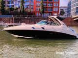 Thumbnail - Sea Ray 305 Sundancer