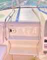 Sea Ray - Sea Ray 305 Sundancer