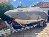 Sea Ray - Sea Ray 190 SPX