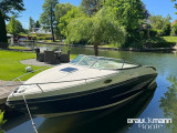 Thumbnail - Rinker Captiva 246