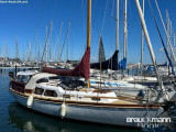 Delphin - Delphin Delphin 66