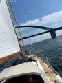 Delphin - Delphin Delphin 66