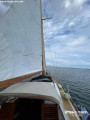 Delphin - Delphin Delphin 66