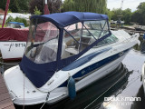 Crownline Boats - Crownline Boats 250 CR