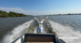 Silver - Silver Eagle BR 640
