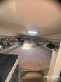 Rinker - Rinker Fiesta Vee 242