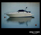 Rinker - Rinker Fiesta Vee 242