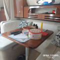 Sea Ray - Sea Ray 315 Sundancer