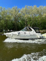 Sea Ray - Sea Ray 315 Sundancer