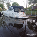 Sea Ray - Sea Ray 315 Sundancer