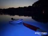 Rinker - Rinker 310 Express Cruiser