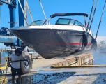 Sea Ray - Sea Ray 230 SPX 