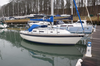 Thumbnail - Westerly Griffon