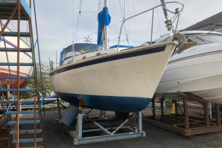 Thumbnail - Westerly Konsort