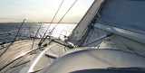 Comfort Yachts - Comfortina 42