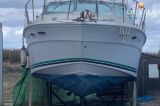 Sea Ray - Sea Ray 340 Sundancer