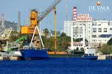  - Bulk Cargo Ship 63 m