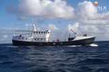 Thumbnail - Expedition Vessel Long Range 29M