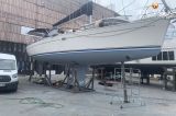 Jeanneau - Jeanneau Sun Odyssey 43