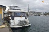 Elegance - Elegance 72