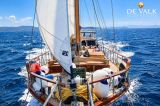  - Motorsailer 23M