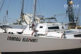  - Wharram Tiki 30