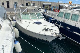 Thumbnail - Carolina Classic 28