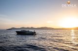  - Reborn 38 Bowrider