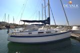 Hallberg Rassy - Hallberg Rassy 310