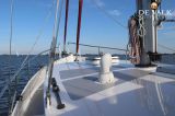  - Danish Rose 37
