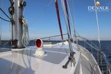  - Danish Rose 37