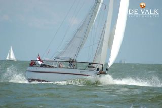 Thumbnail - Danish Rose 31