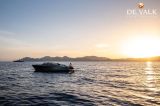  - Reborn 38 Bowrider