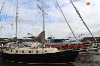 Thumbnail - Danish Rose 42