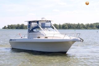 Thumbnail - Pro Line 29 Walkaround Mid Cabin