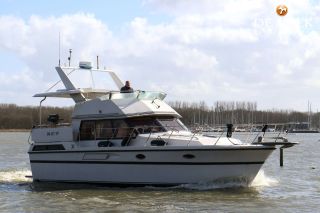 Thumbnail - President 37