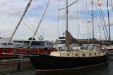  - Danish Rose 42