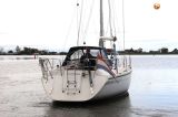 Dehler Yachtbau - Dehler 36 CWS