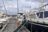 Nauticat - Nauticat 521