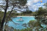 Lagoon - Lagoon 42