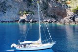  - Brown Bluewater 49