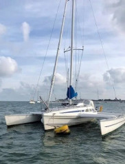 Thumbnail - Dragonfly 920 Cruising