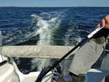 Quorning Boat - Dragonfly 28 Sport