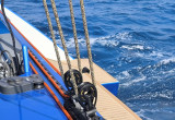 Swiss Catamaran - Swiss Cat 55