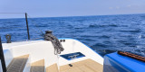 Swiss Catamaran - Swiss Cat 55