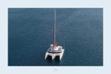 NEEL Trimarans - NEEL 51