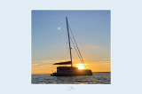 NEEL Trimarans - NEEL 51