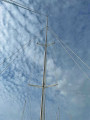 Corsair Marine - Corsair 37