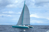 Neel - Neel 52 ONE OFF Performance Catamaran