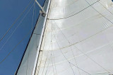 Catana - Catana 50